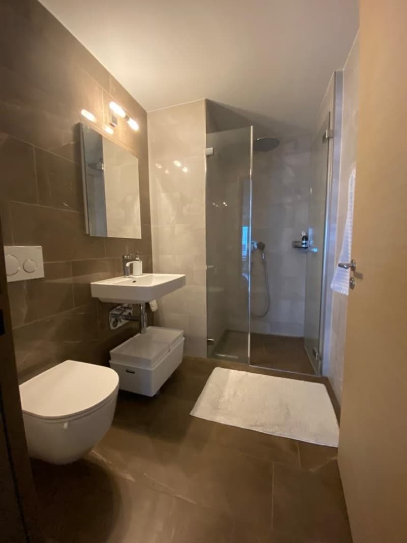 Modernes 1.5-Zimmer-Apartment in Zürich Kreis 4 (4)