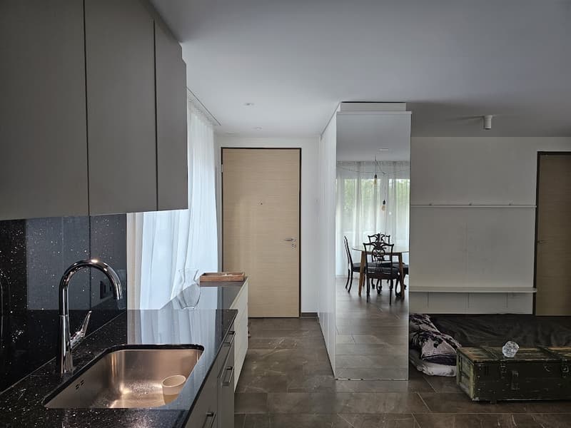 Modernes 1.5-Zimmer-Apartment in Zürich Kreis 4 (2)