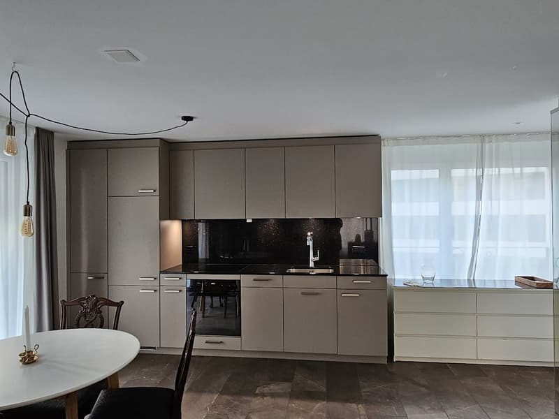 Modernes 1.5-Zimmer-Apartment in Zürich Kreis 4 (3)