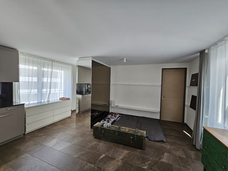 Modernes 1.5-Zimmer-Apartment in Zürich Kreis 4 (5)