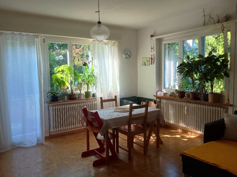 Geräumige Wohnung in Zollikerberg (1)