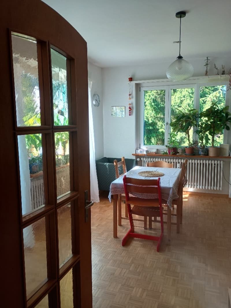 Geräumige Wohnung in Zollikerberg (2)