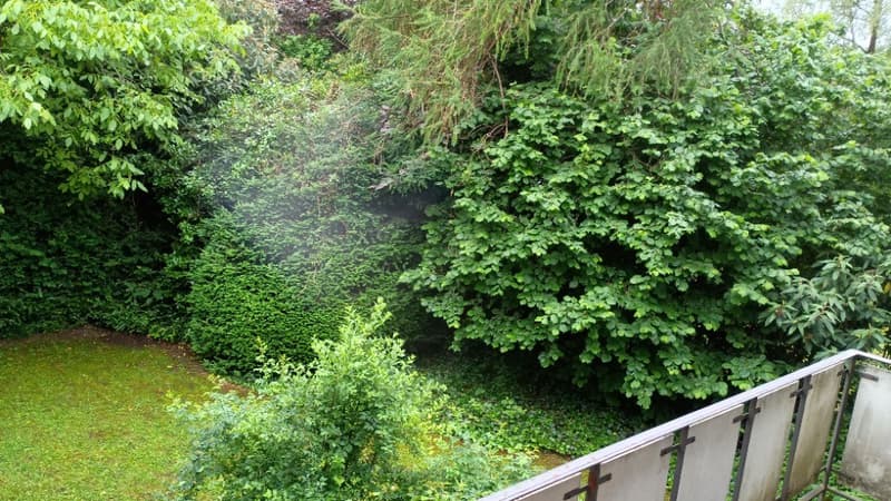 Geräumige Wohnung in Zollikerberg (5)