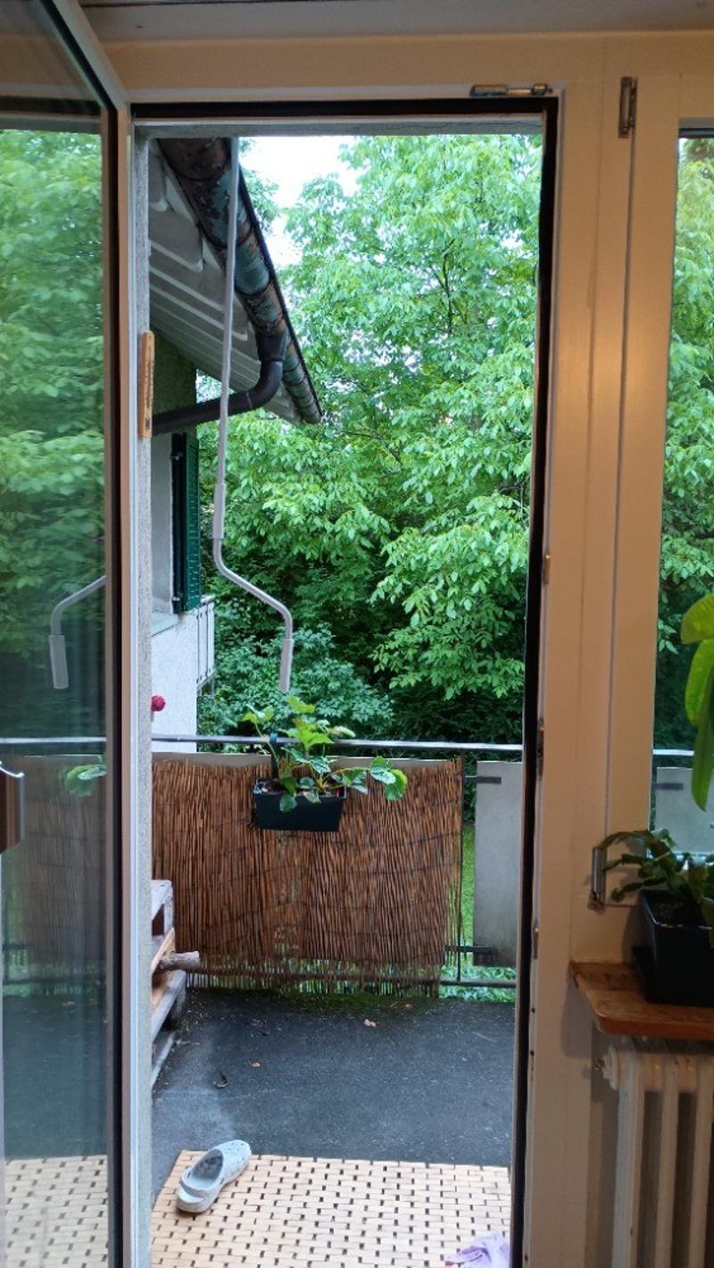 Geräumige Wohnung in Zollikerberg (4)