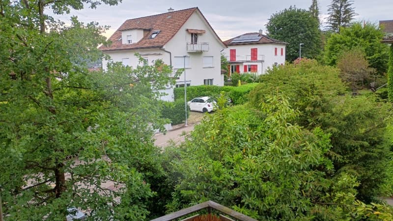 Geräumige Wohnung in Zollikerberg (11)