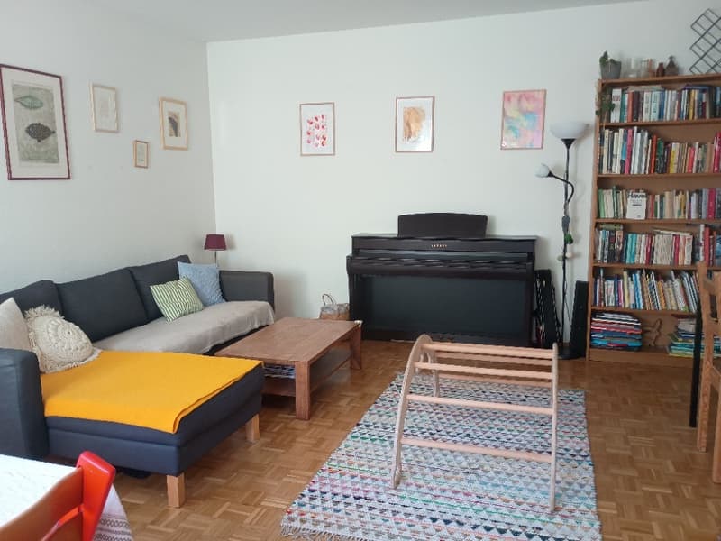 Geräumige Wohnung in Zollikerberg (3)
