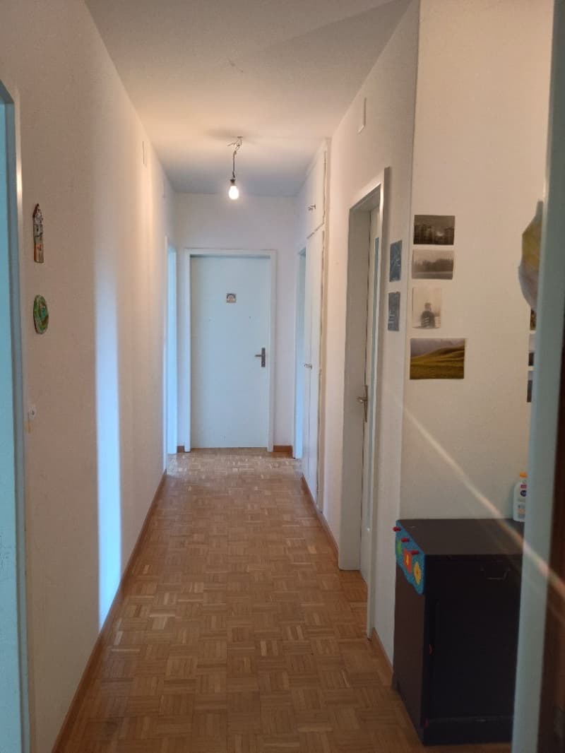 Geräumige Wohnung in Zollikerberg (7)