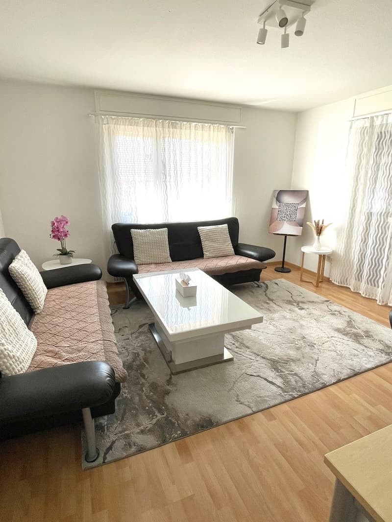 Grosszügige und helle 3.5 Zimmer Wohnung in Rheinfelden sucht neuen Mieter (1)