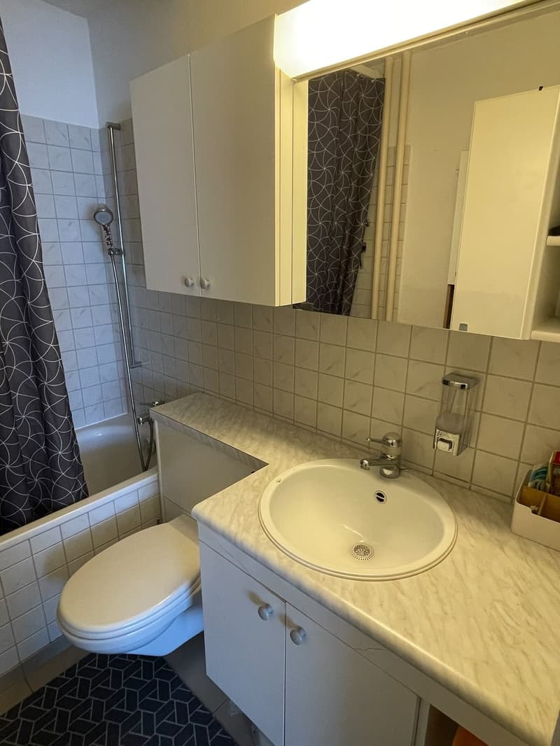 Grosszügige und helle 3.5 Zimmer Wohnung in Rheinfelden sucht neuen Mieter (3)
