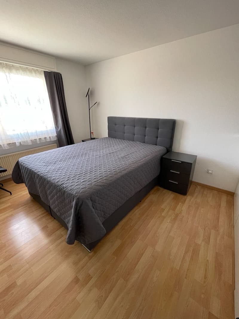 Grosszügige und helle 3.5 Zimmer Wohnung in Rheinfelden sucht neuen Mieter (5)
