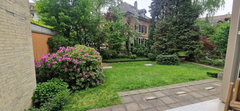 Wohnung im Herzen der Länggasse (3)