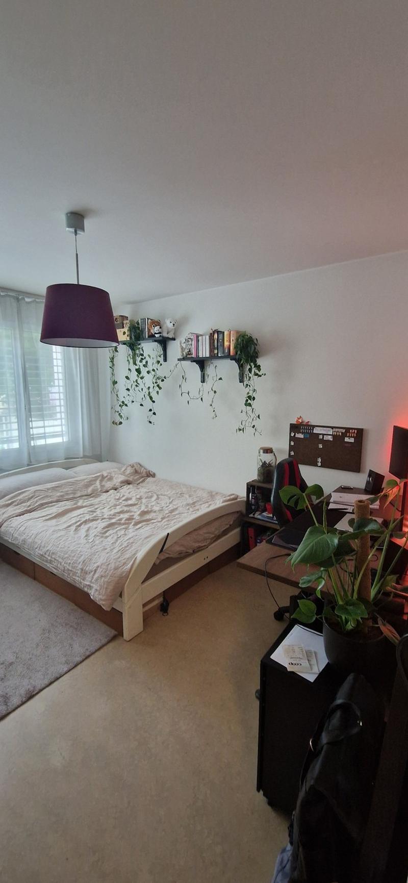 Wohnung im Herzen der Länggasse (8)