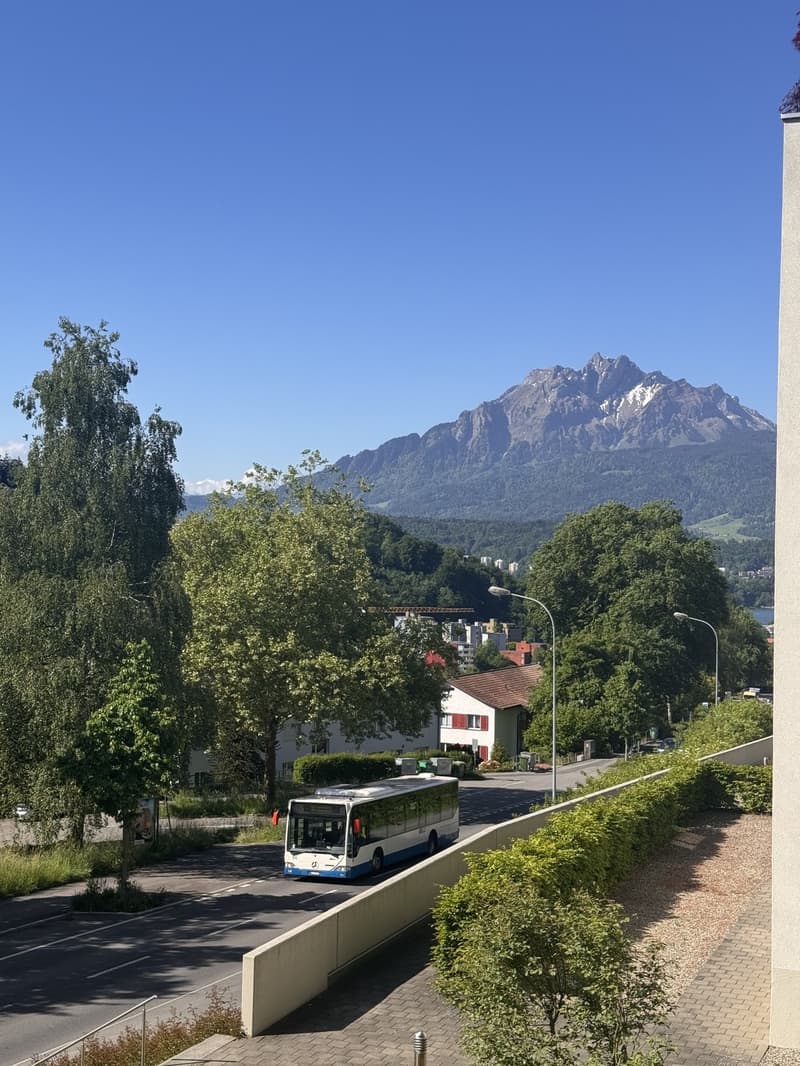 3.5 Room Apartment in Lucerne (8)