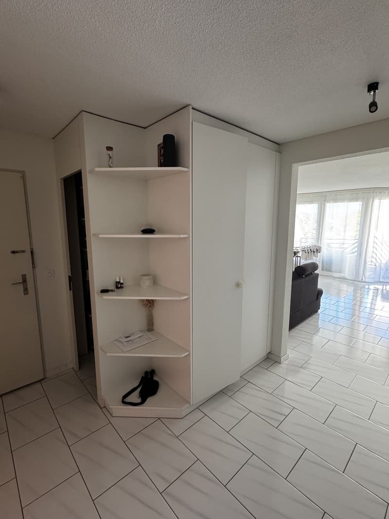 3.5 Room Apartment in Lucerne (10)
