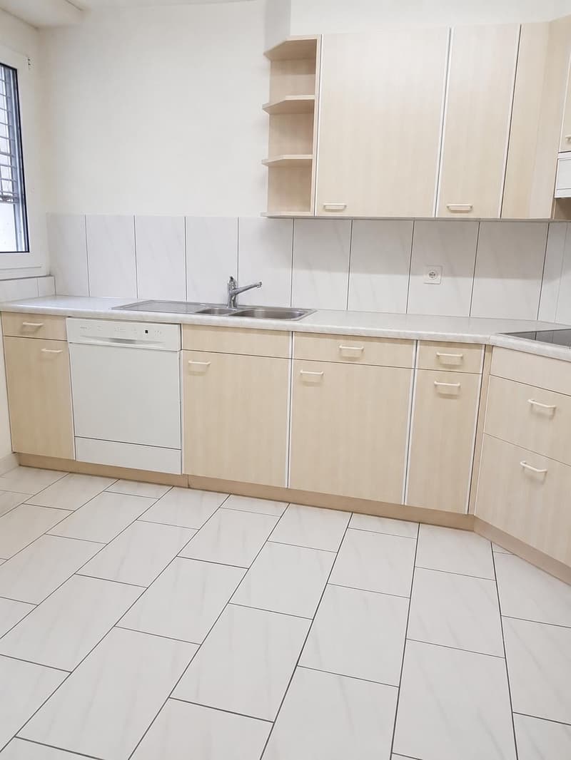 3.5 Room Apartment in Lucerne (4)