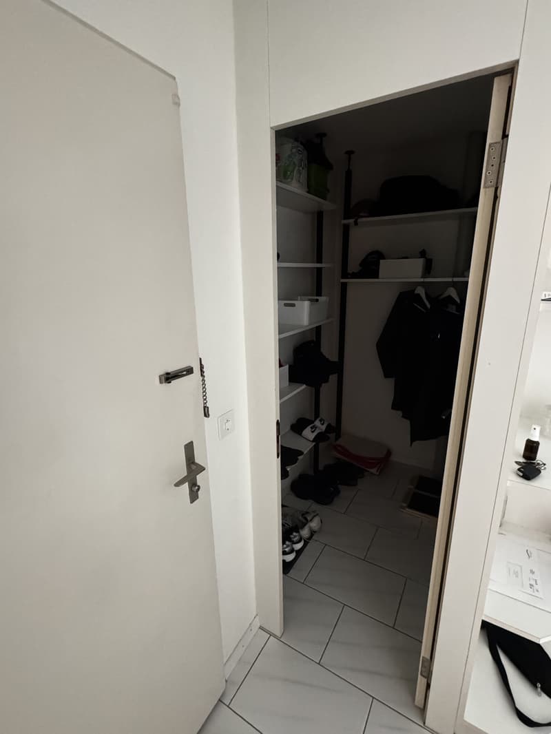 3.5 Room Apartment in Lucerne (9)