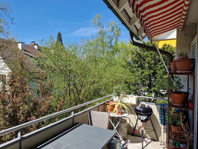 Befristet 4-Zimmerwohnung in der Elfenau zu vermieten (10)