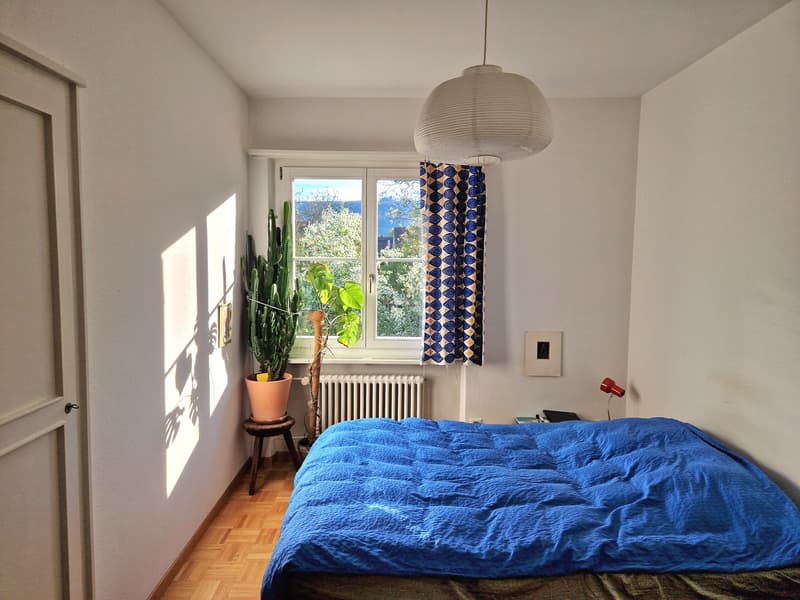 Befristet 4-Zimmerwohnung in der Elfenau zu vermieten (6)