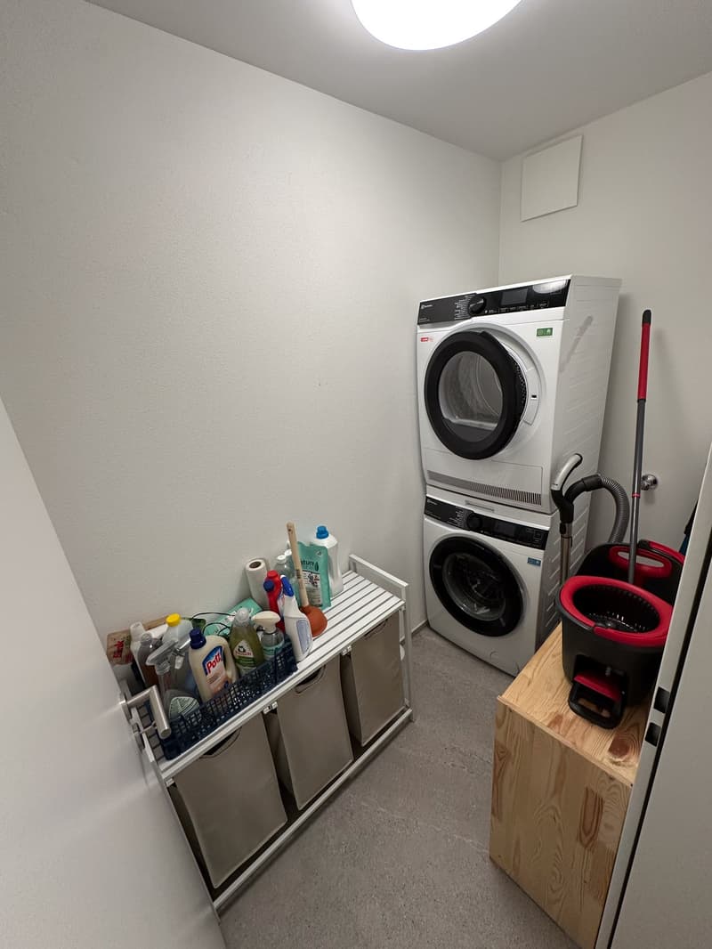Stilvolle 4.5 Zimmer Wohnung in Luzern, möbliert für ca. 12 Monate zu vermieten (11)