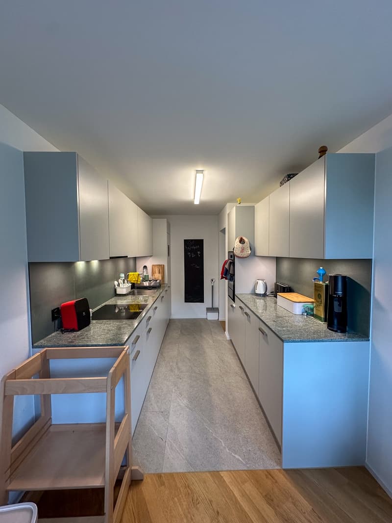 Stilvolle 4.5 Zimmer Wohnung in Luzern, möbliert für ca. 12 Monate zu vermieten (4)