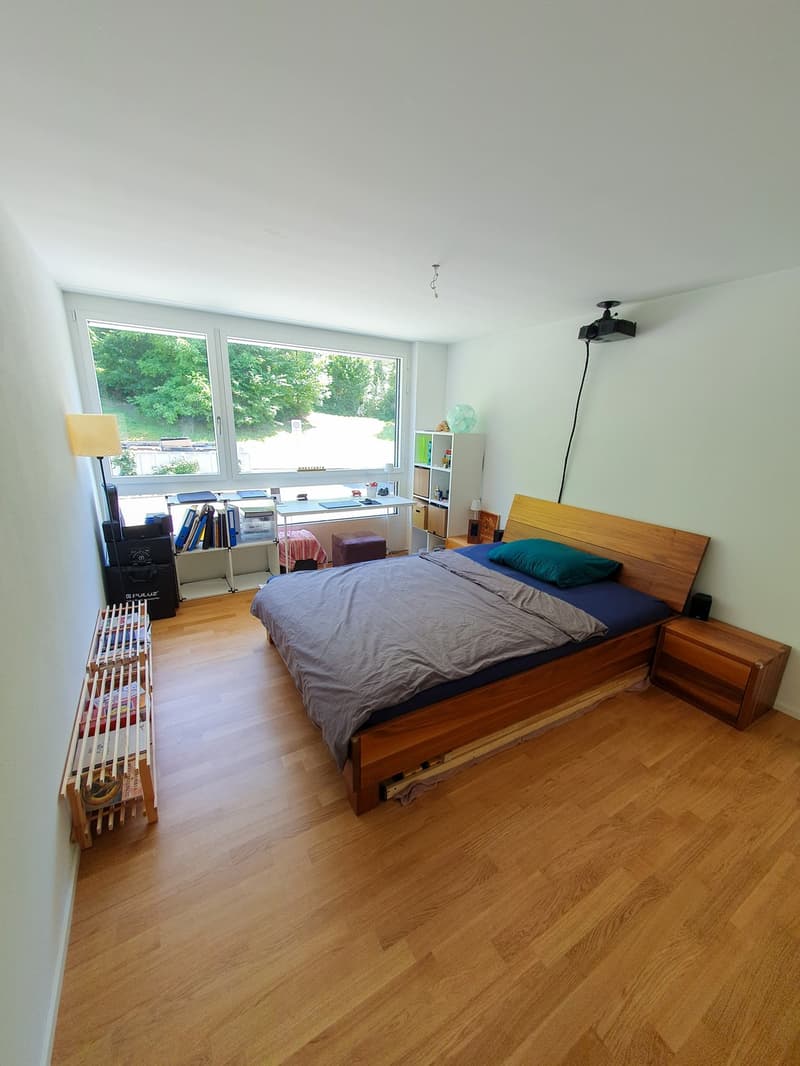 Stilvolle 4.5 Zimmer Wohnung in Luzern, möbliert für ca. 12 Monate zu vermieten (5)