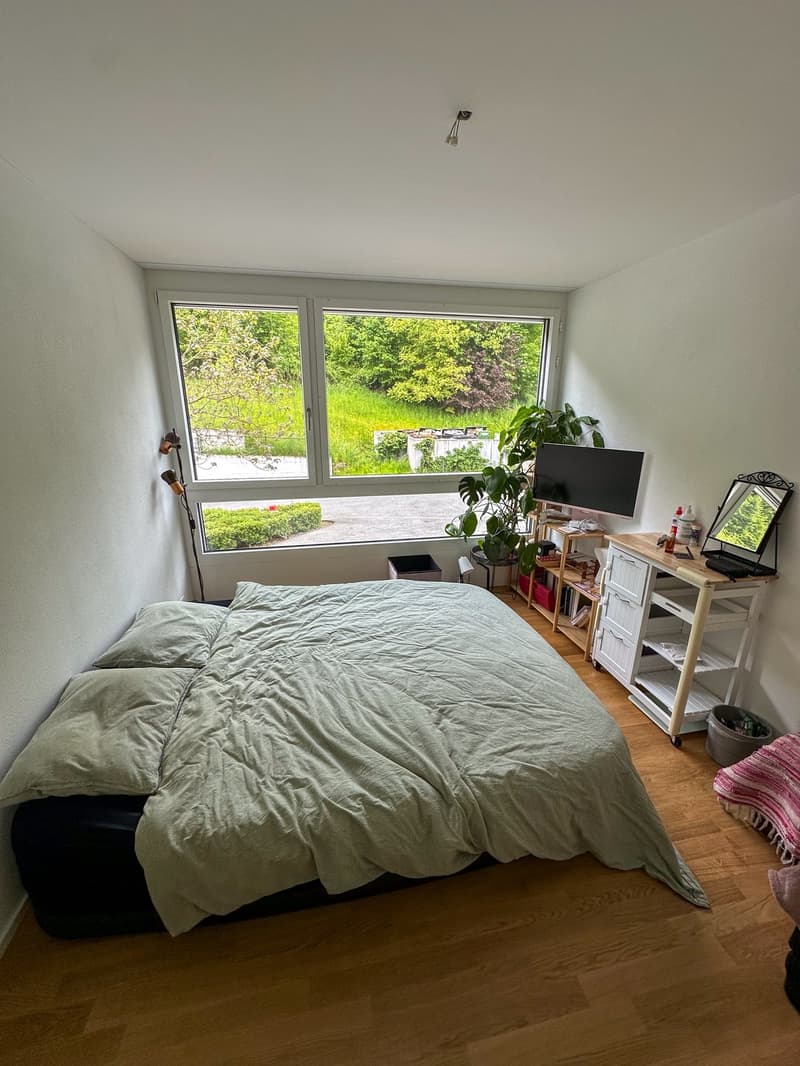 Stilvolle 4.5 Zimmer Wohnung in Luzern, möbliert für ca. 12 Monate zu vermieten (7)