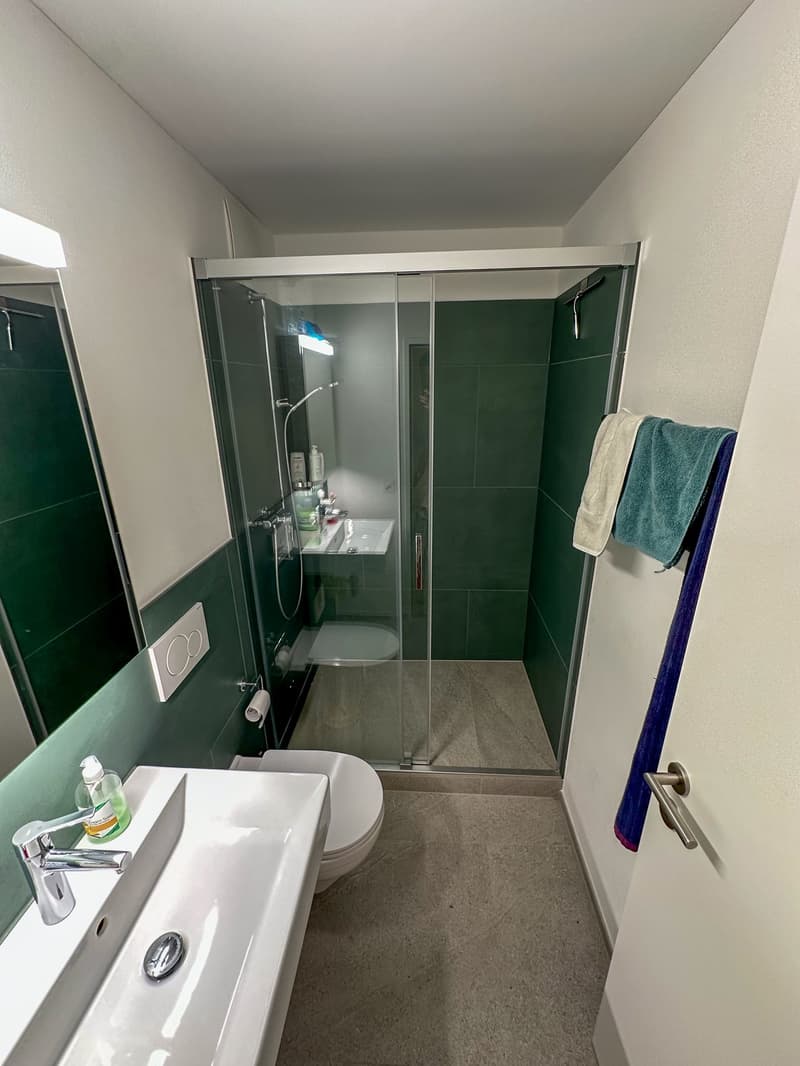 Stilvolle 4.5 Zimmer Wohnung in Luzern, möbliert für ca. 12 Monate zu vermieten (10)