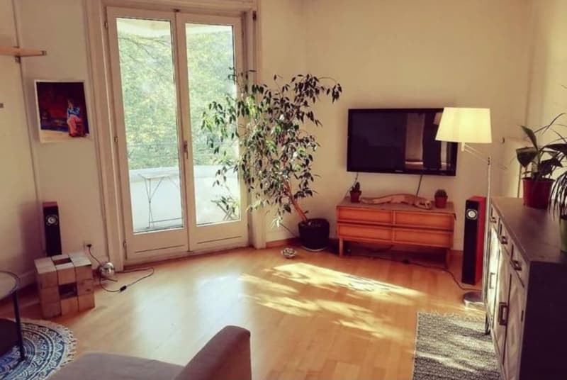 Appartement lumineux dans le centre de Lucerne (1)
