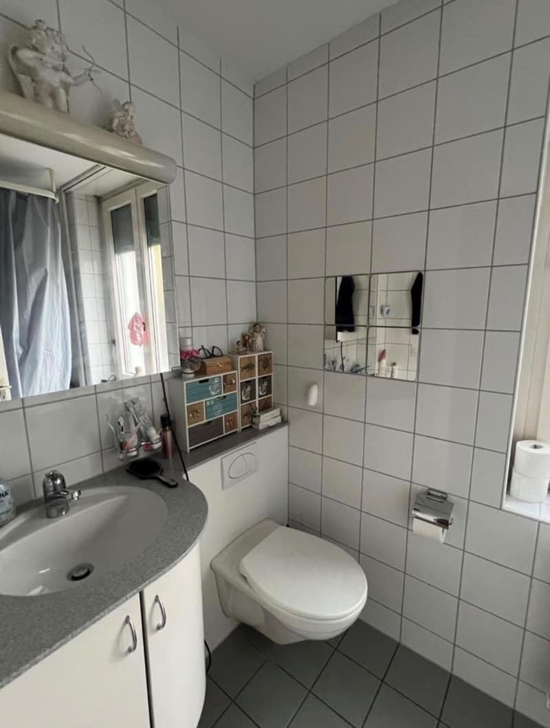 Appartement lumineux dans le centre de Lucerne (5)