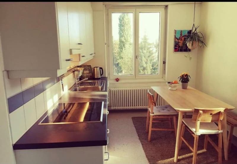 Appartement lumineux dans le centre de Lucerne (2)