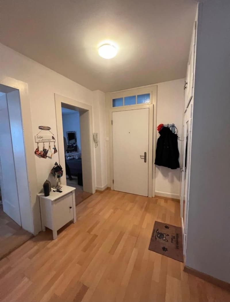 Appartement lumineux dans le centre de Lucerne (3)