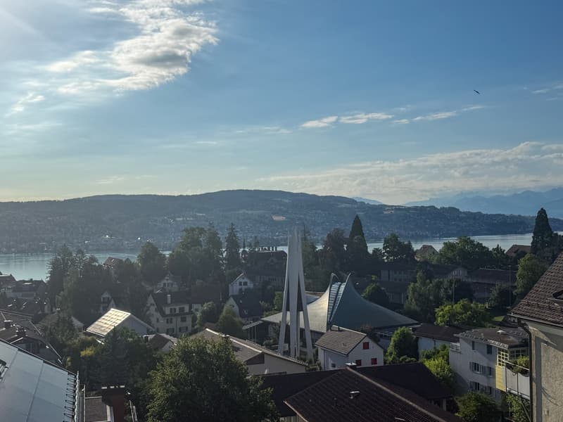 Traumhafte Aussicht auf den Zürichsee und Berge (6)