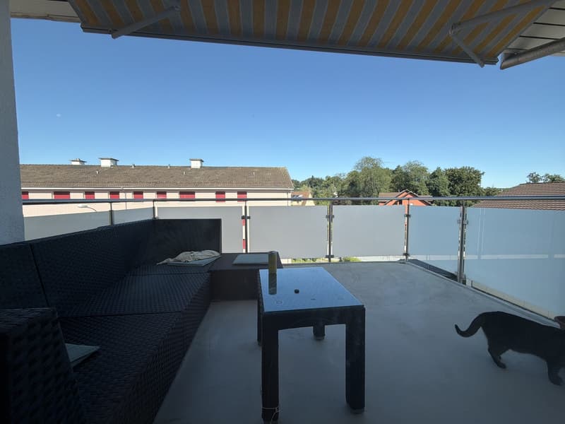 Beautiful bright apartment in Emmenbrücke (4)