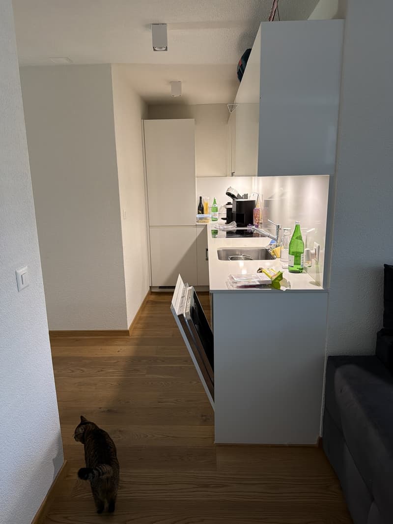 Beautiful bright apartment in Emmenbrücke (1)