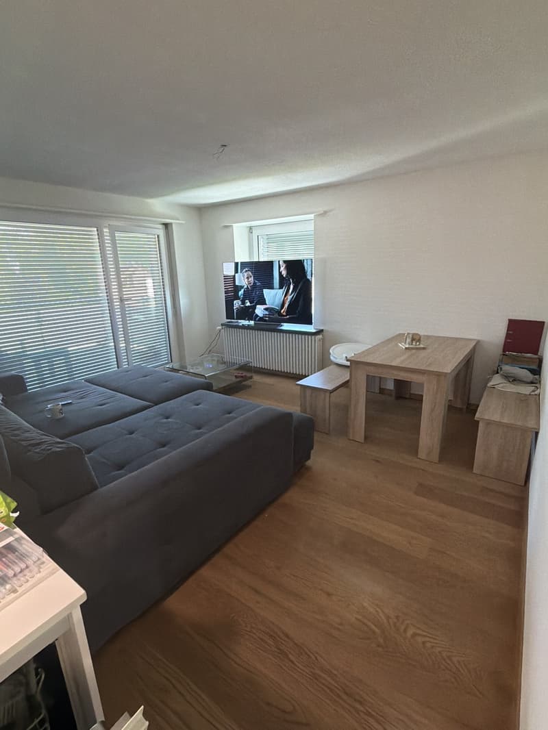 Beautiful bright apartment in Emmenbrücke (3)