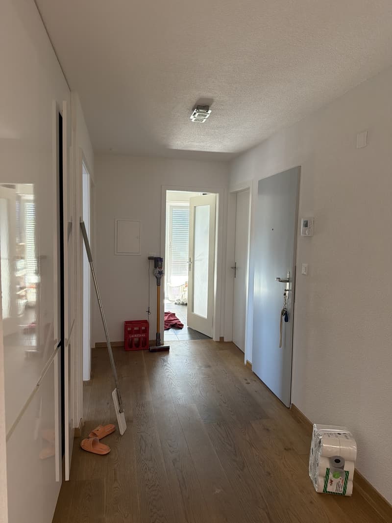 Beautiful bright apartment in Emmenbrücke (2)