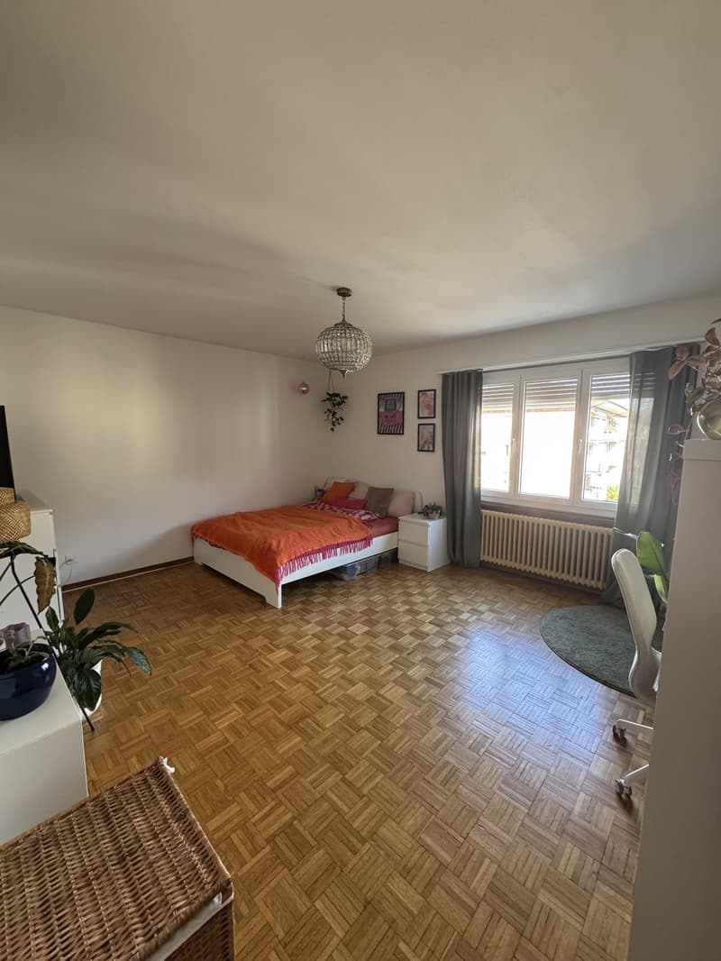 4.5-Zimmer-Wohnung in Top-Lage im beliebten Breitenrainquartier sucht Nachmieter*in per 1. September 2026 (5)