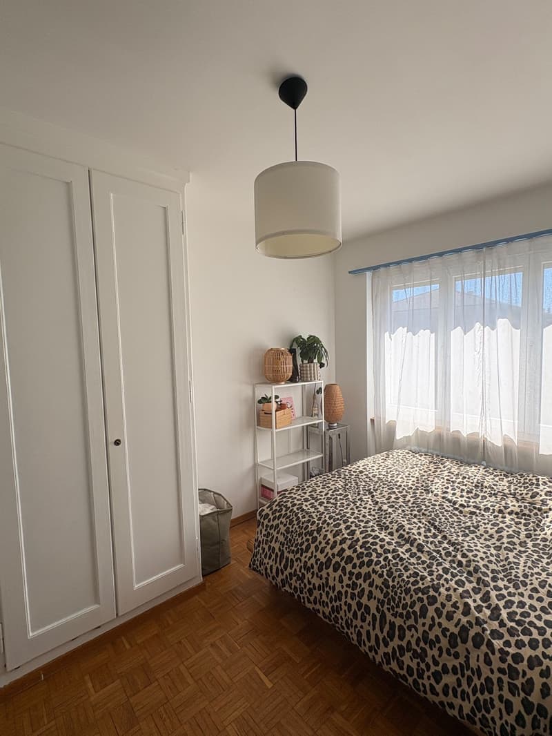4.5-Zimmer-Wohnung in Top-Lage im beliebten Breitenrainquartier sucht Nachmieter*in per 1. September 2026 (7)