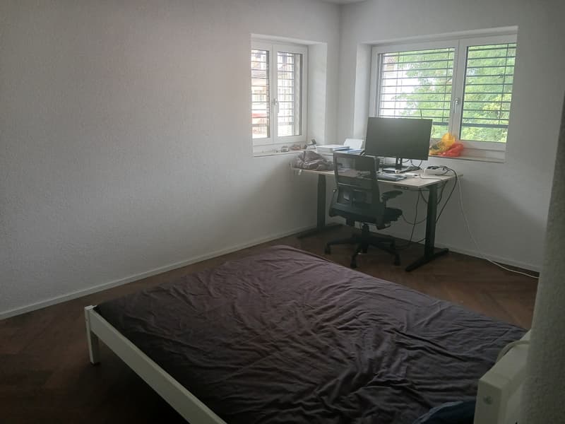 4 ½ Zimmer-Wohnung, 8952 Schlieren (4)