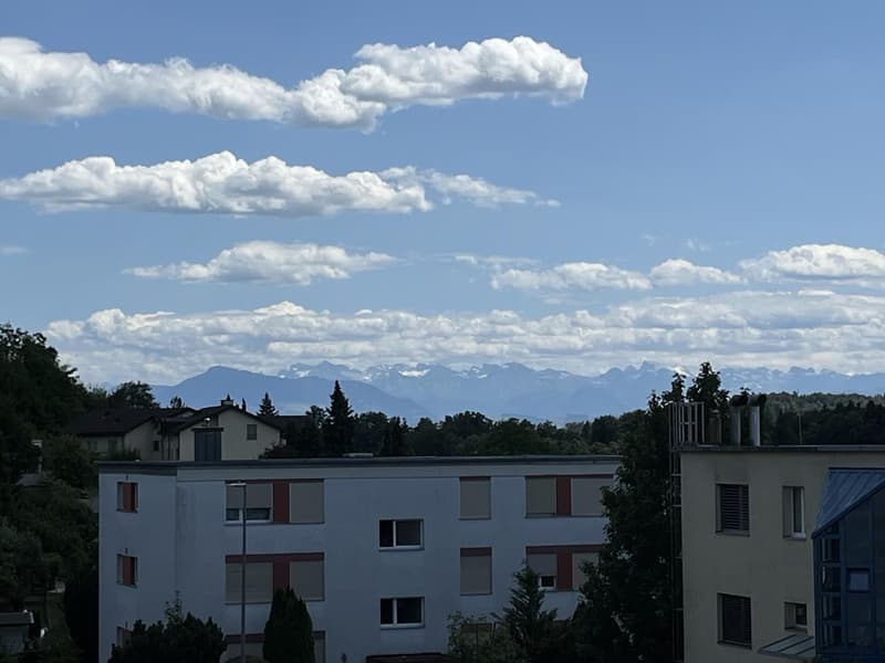 Bright, renovated apartment in a quiet location (12)