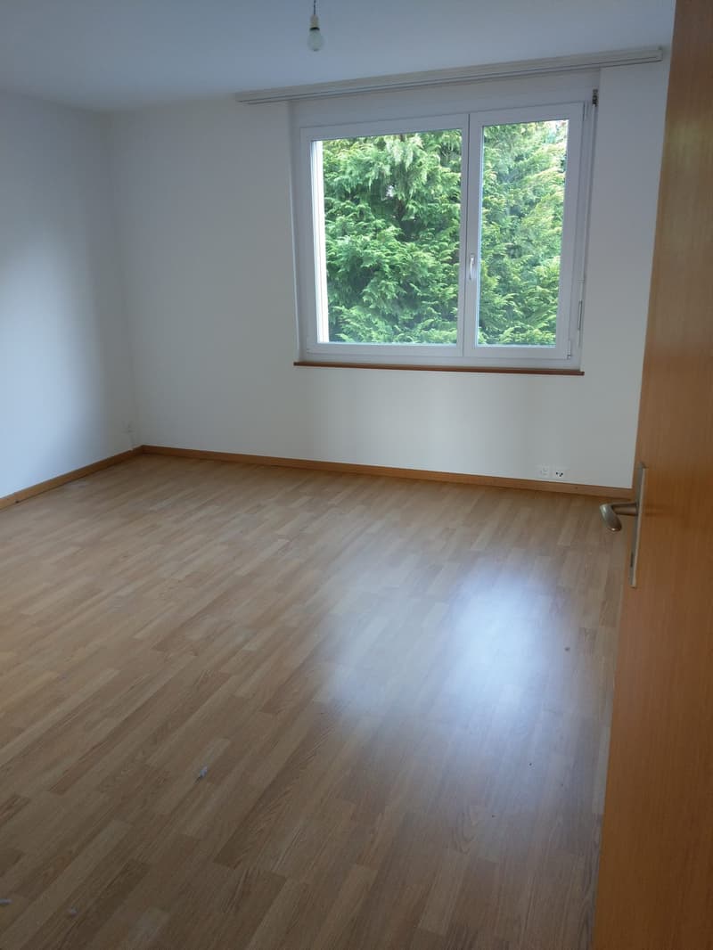 Bright, renovated apartment in a quiet location (7)