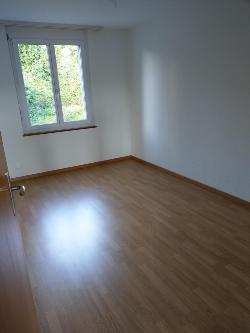 Bright, renovated apartment in a quiet location (9)