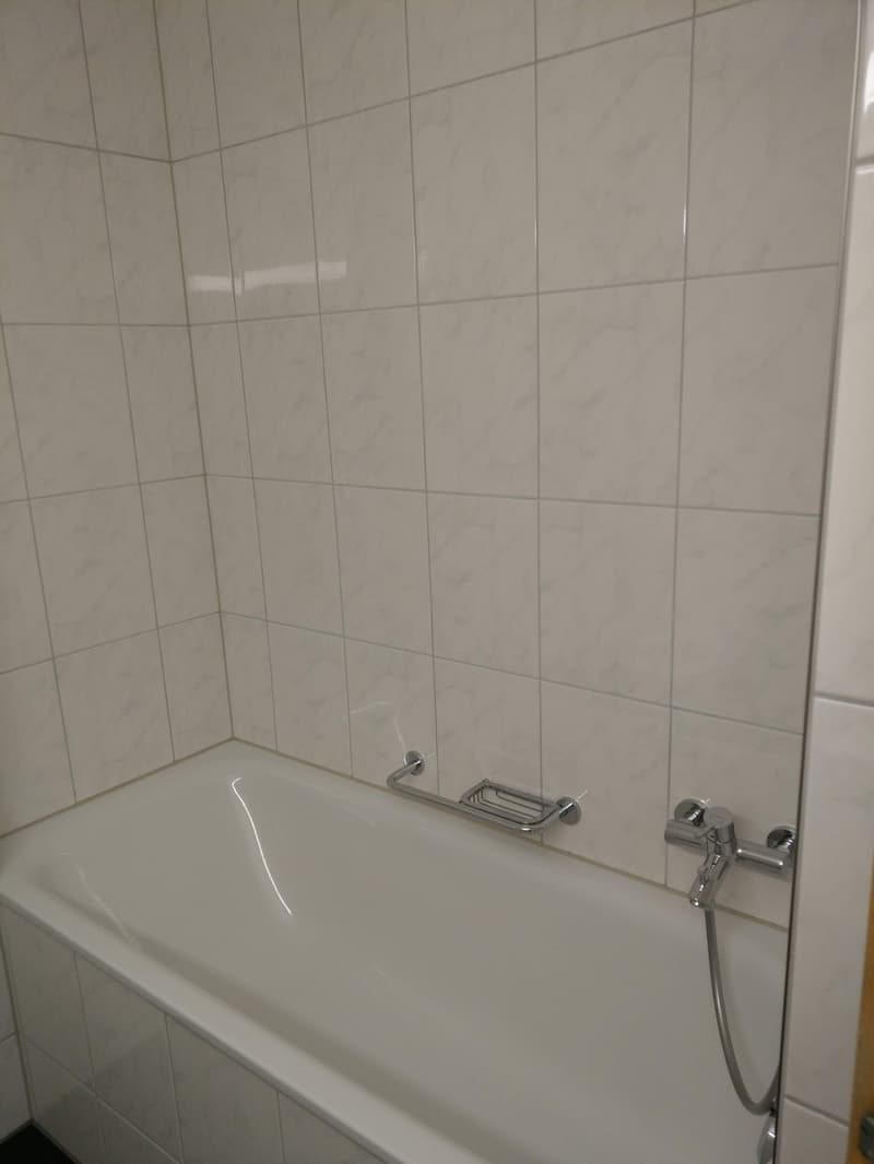 Bright, renovated apartment in a quiet location (6)