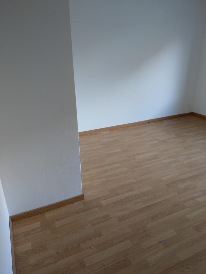Bright, renovated apartment in a quiet location (8)