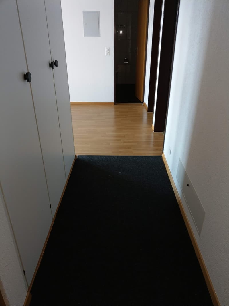 Bright, renovated apartment in a quiet location (10)