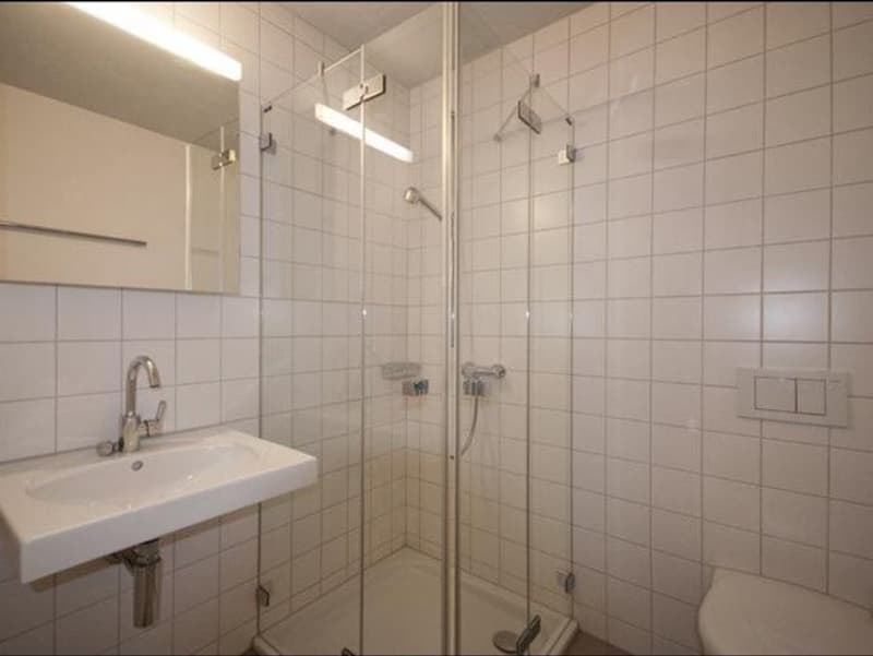 4.5 Room Apartment in Winterthur directly at Kesselhaus (4)