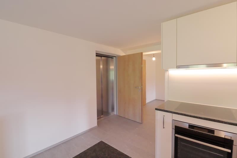 Beautiful, rural apartment in the tax-friendly municipality of Maur (4)