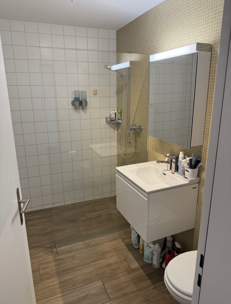 Ab sofort 1,5 Zimmer Wohnung Oerlikon (6)