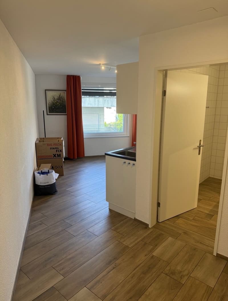 Ab sofort 1,5 Zimmer Wohnung Oerlikon (1)