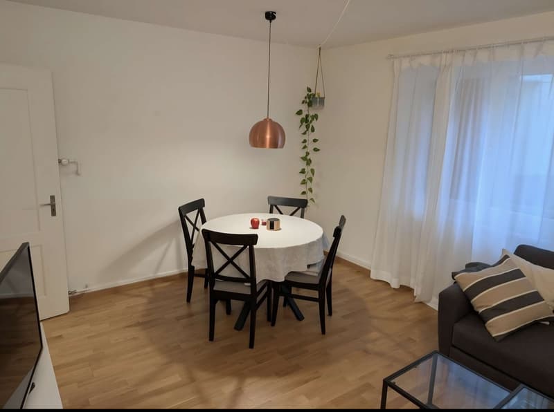 3-room apartment in Zürich Oerlikon Looking for a Nachmieter (3)